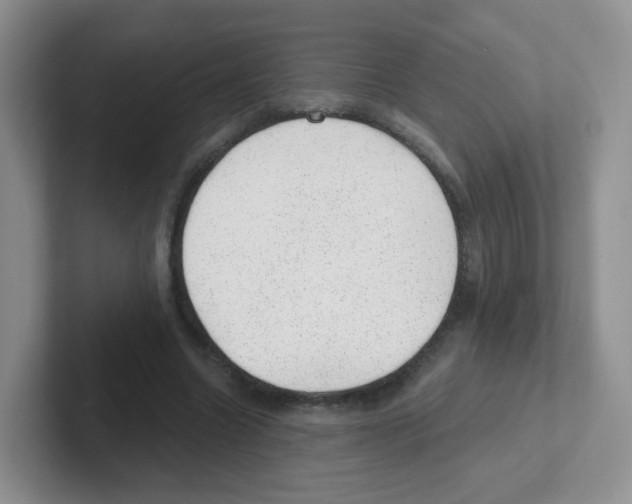 X0000101650538200808071116