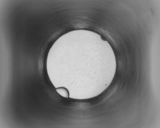 X0000101650539200808071116