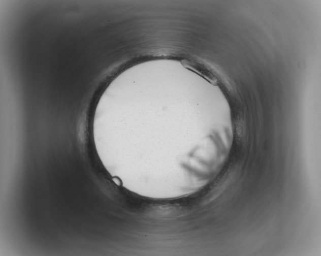X0000101650540200808071116