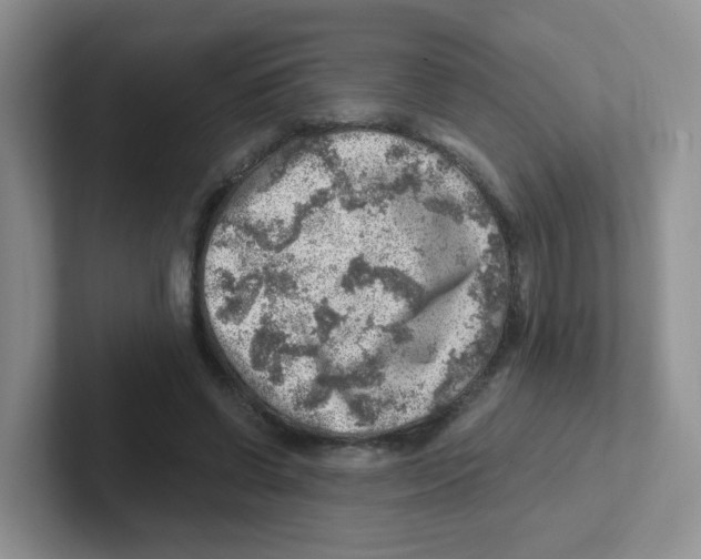 X0000101650542200808071116