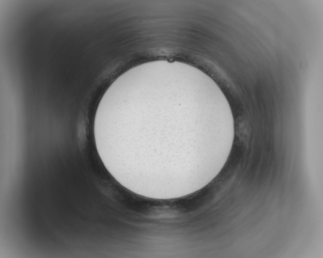 X0000101650544200808071116