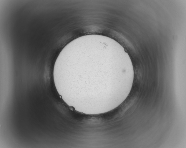 X0000101650546200808071117