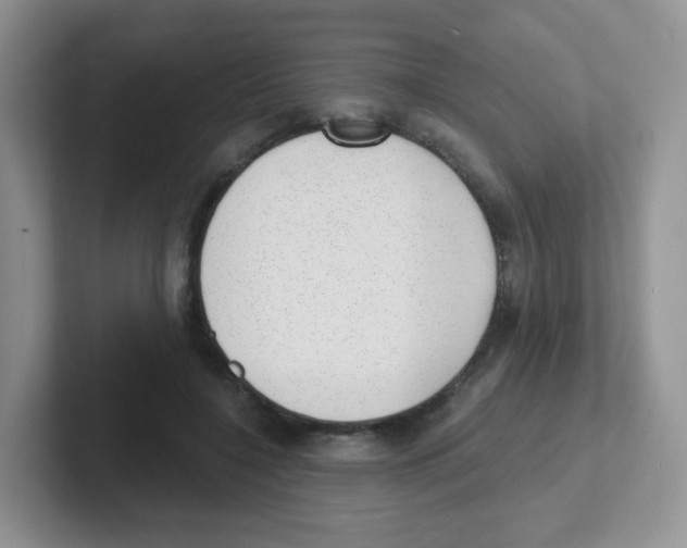X0000101650548200808071117