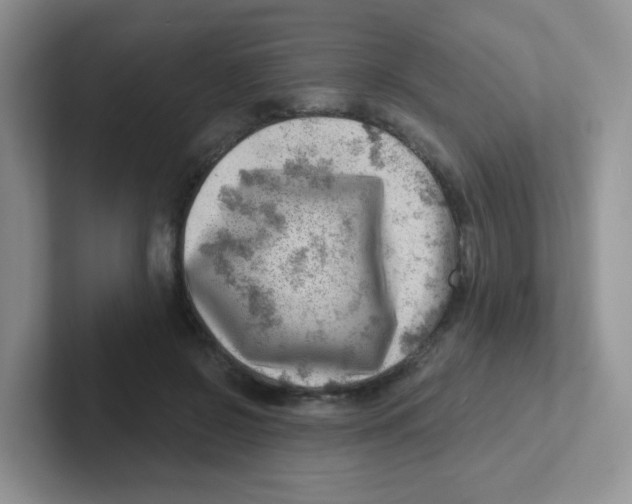X0000101650550200808071117