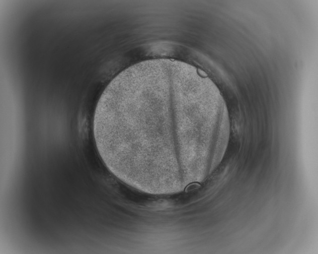 X0000101650551200808071117