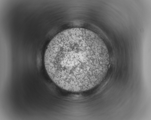 X0000101650552200808071117