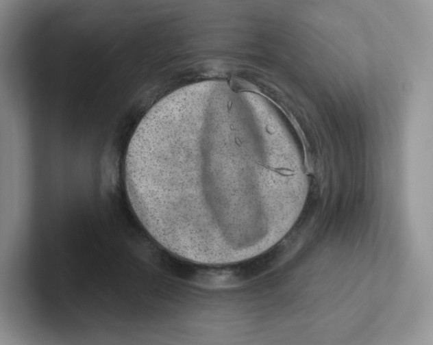 X0000101650554200808071117