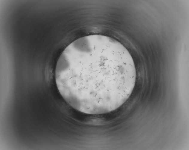 X0000101650555200808071117