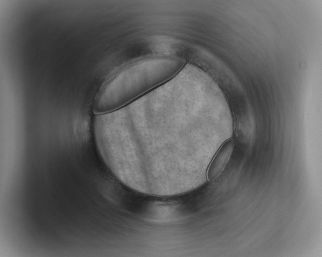 X0000101650556200808071117