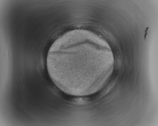 X0000101650558200808071117