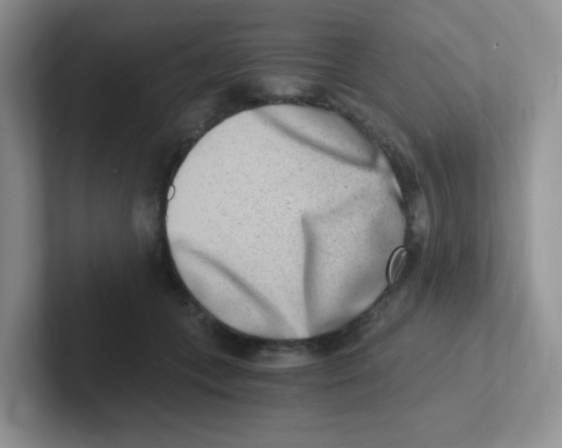 X0000101650559200808071117