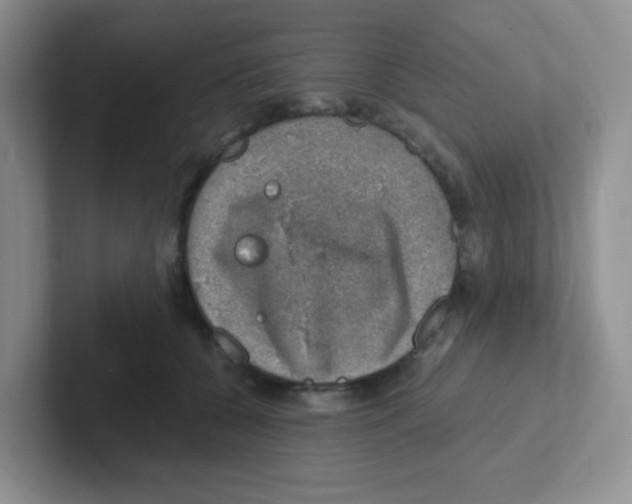 X0000101650560200808071117