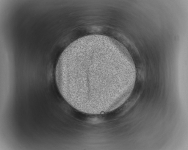 X0000101650561200808071117