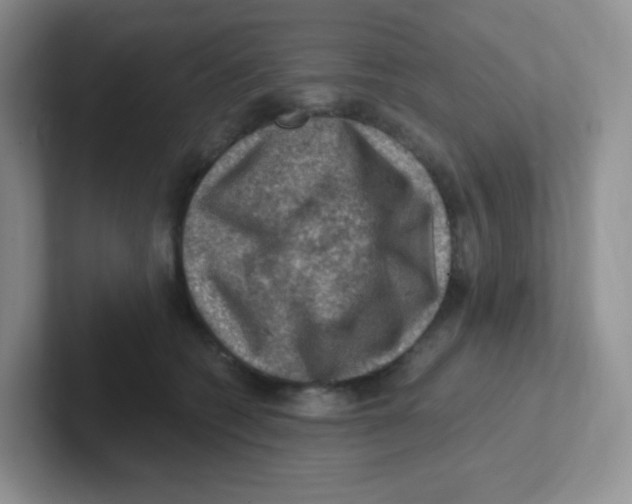 X0000101650562200808071117