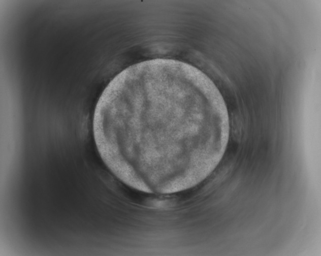 X0000101650563200808071117