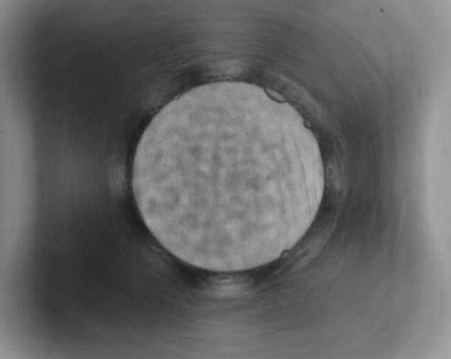 X0000101650564200808071117