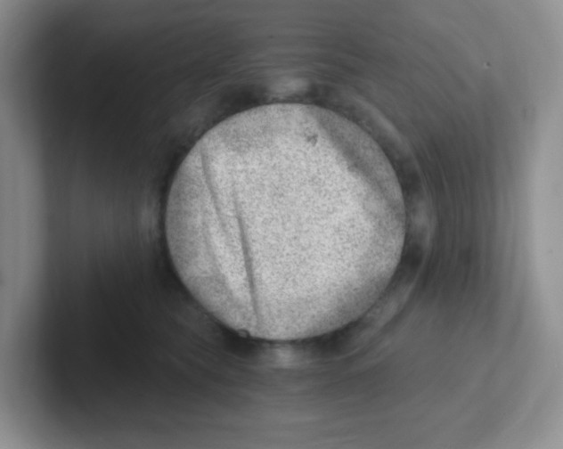 X0000101650565200808071117