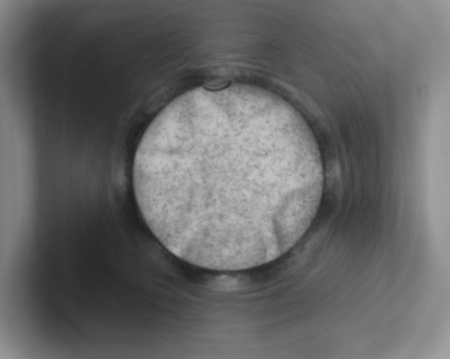 X0000101650566200808071117