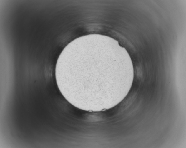 X0000101650567200808071117