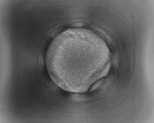 X0000101650568200808071117