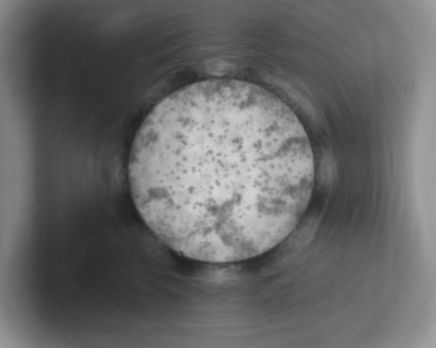 X0000101650569200808071117