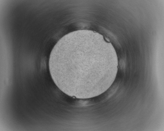 X0000101650570200808071117