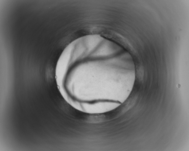 X0000101650571200808071117