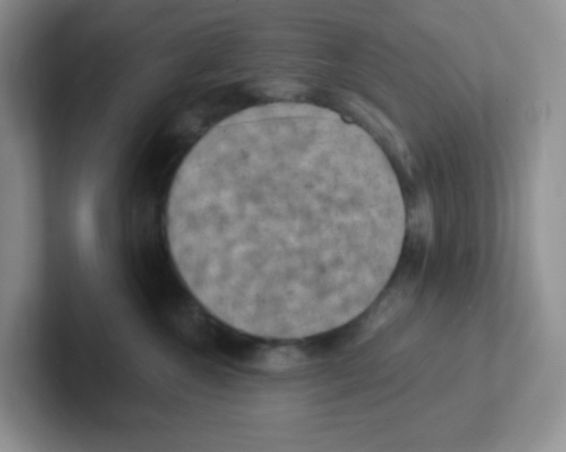 X0000101650572200808071117