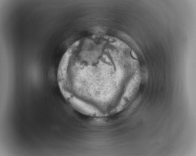 X0000101650573200808071117