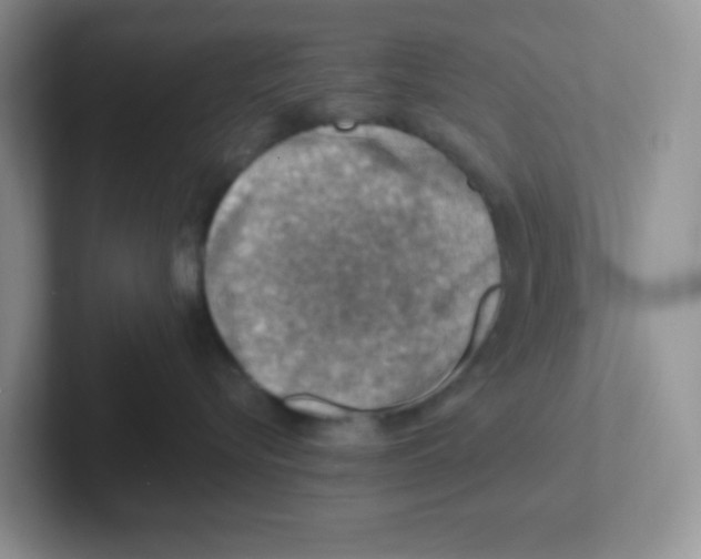 X0000101650576200808071117