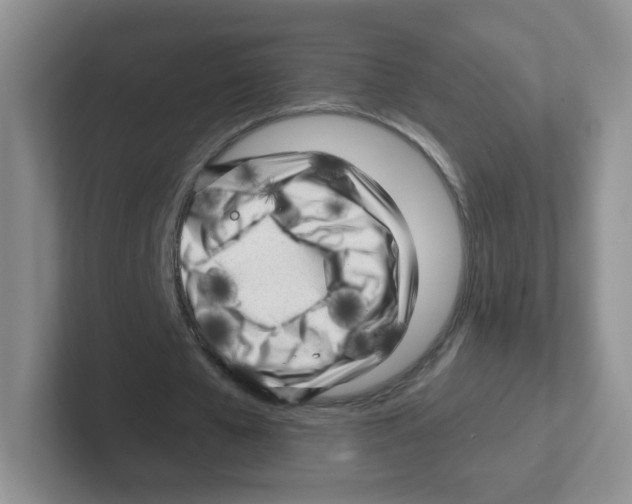 X0000101650577200808071116