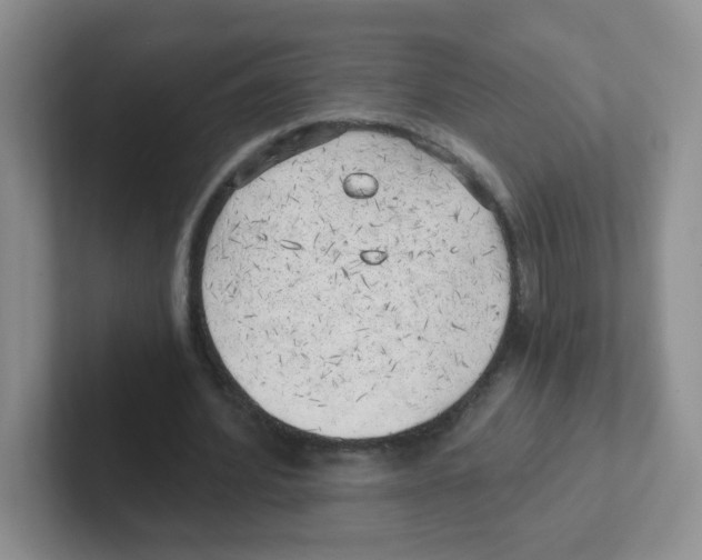 X0000101650580200808071116