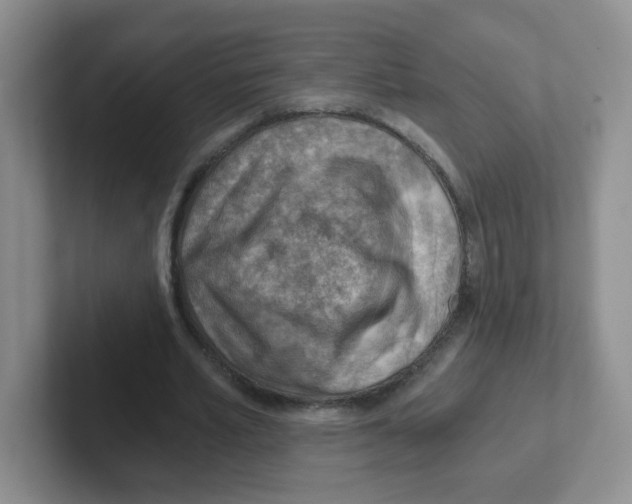 X0000101650581200808071116