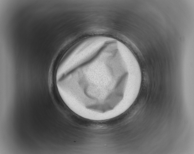 X0000101650582200808071116