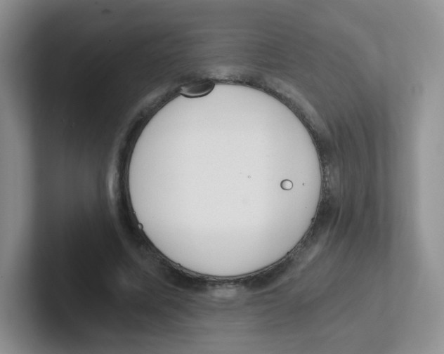X0000101650587200808071116