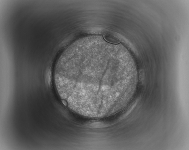 X0000101650589200808071116
