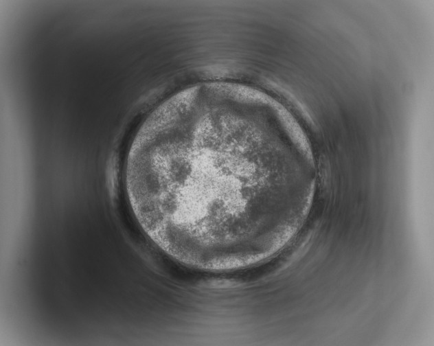X0000101650590200808071116