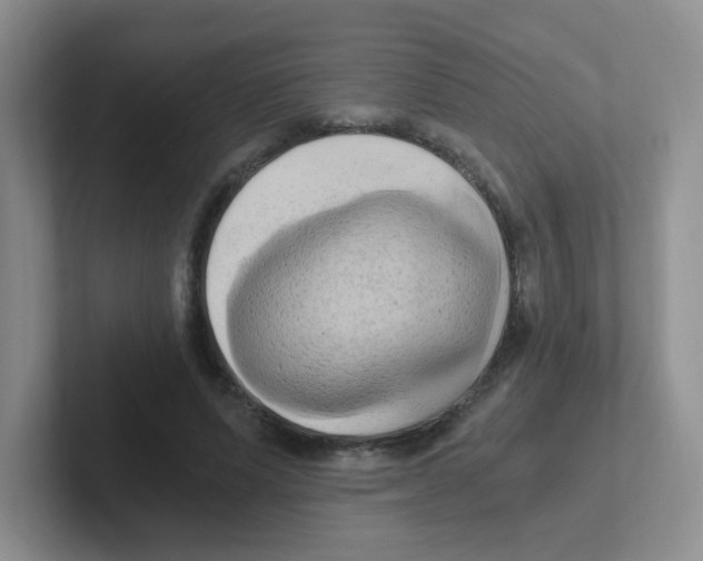 X0000101650591200808071116