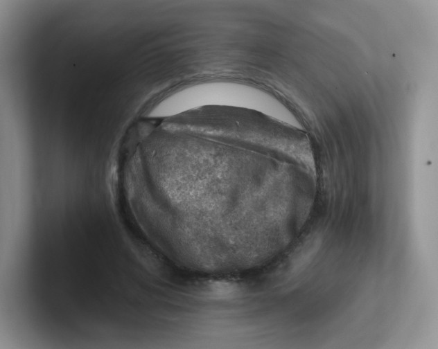 X0000101650592200808071116
