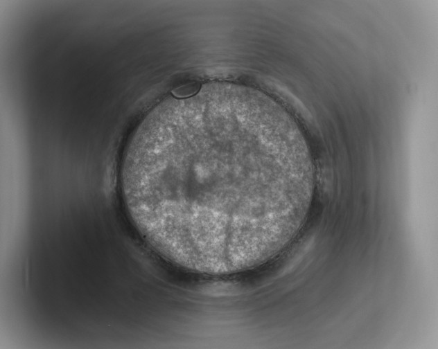 X0000101650593200808071116