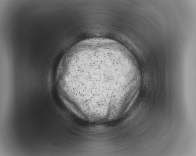 X0000101650594200808071116