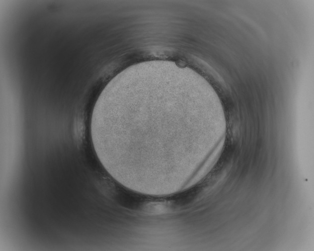 X0000101650595200808071116