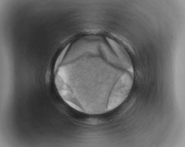 X0000101650596200808071116