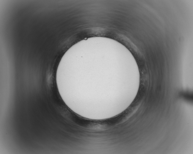 X0000101650597200808071116