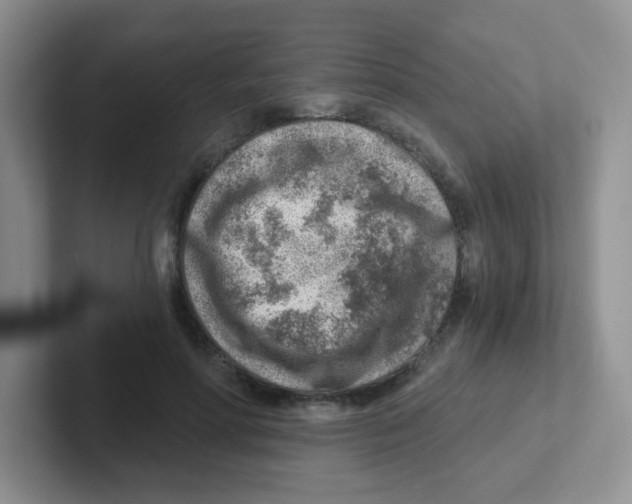 X0000101650598200808071116