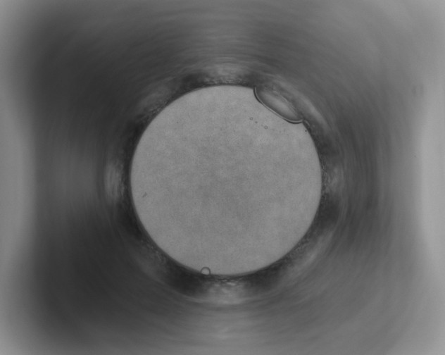 X0000101650599200808071116