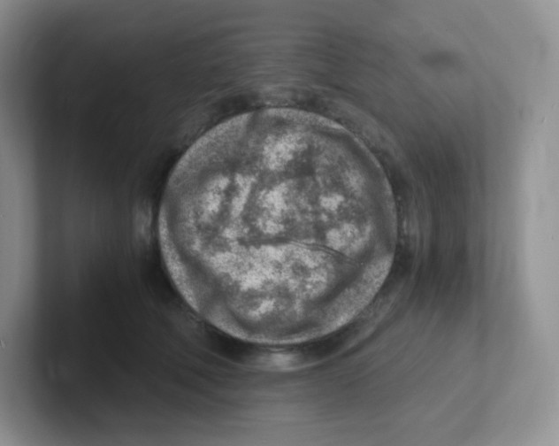 X0000101650610200808071116