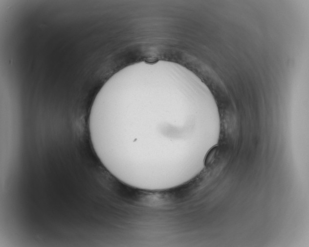 X0000101650611200808071116