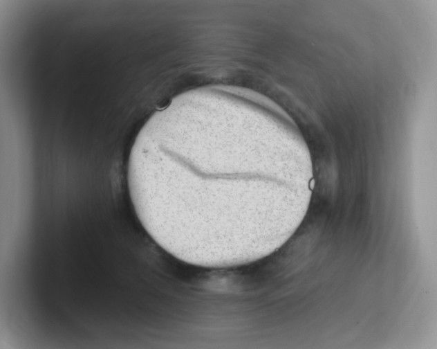 X0000101650612200808071116