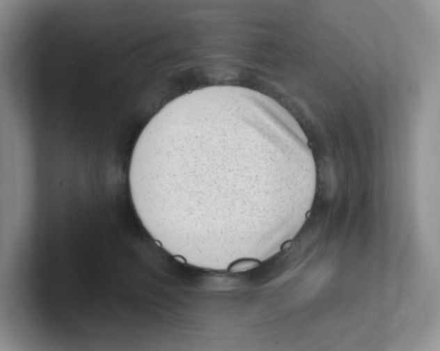 X0000101650614200808071116